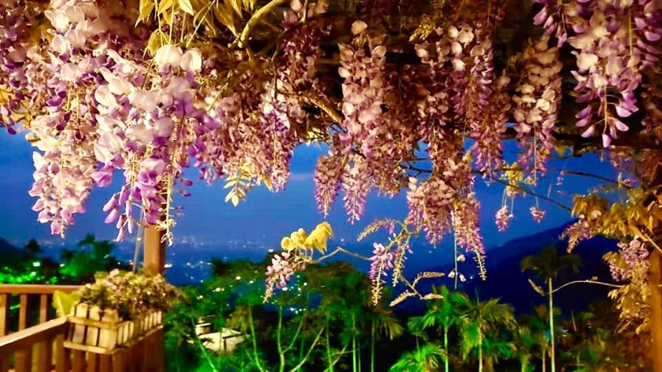 Jinshi Starlight Forest B&B المظهر الخارجي الصورة
